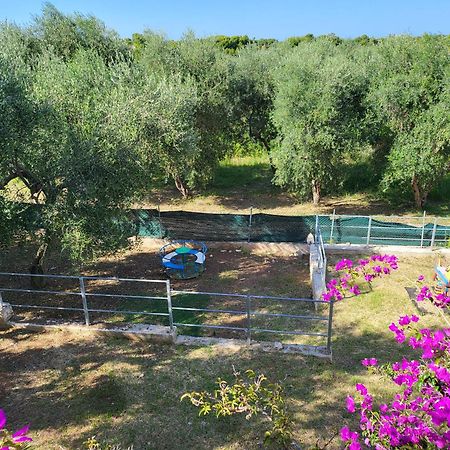 Residence Dolce Far Niente Vieste Dış mekan fotoğraf