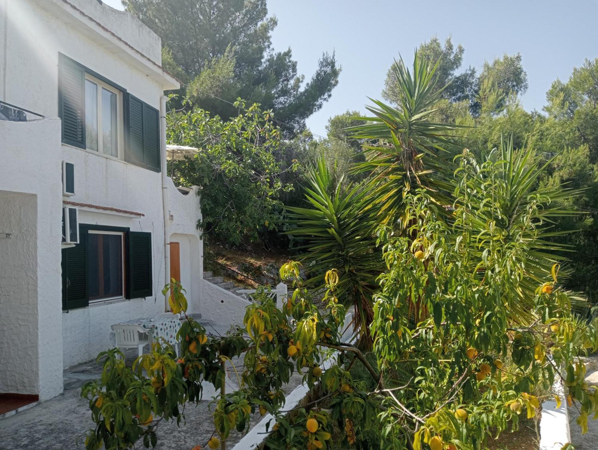 Residence Dolce Far Niente Vieste Dış mekan fotoğraf