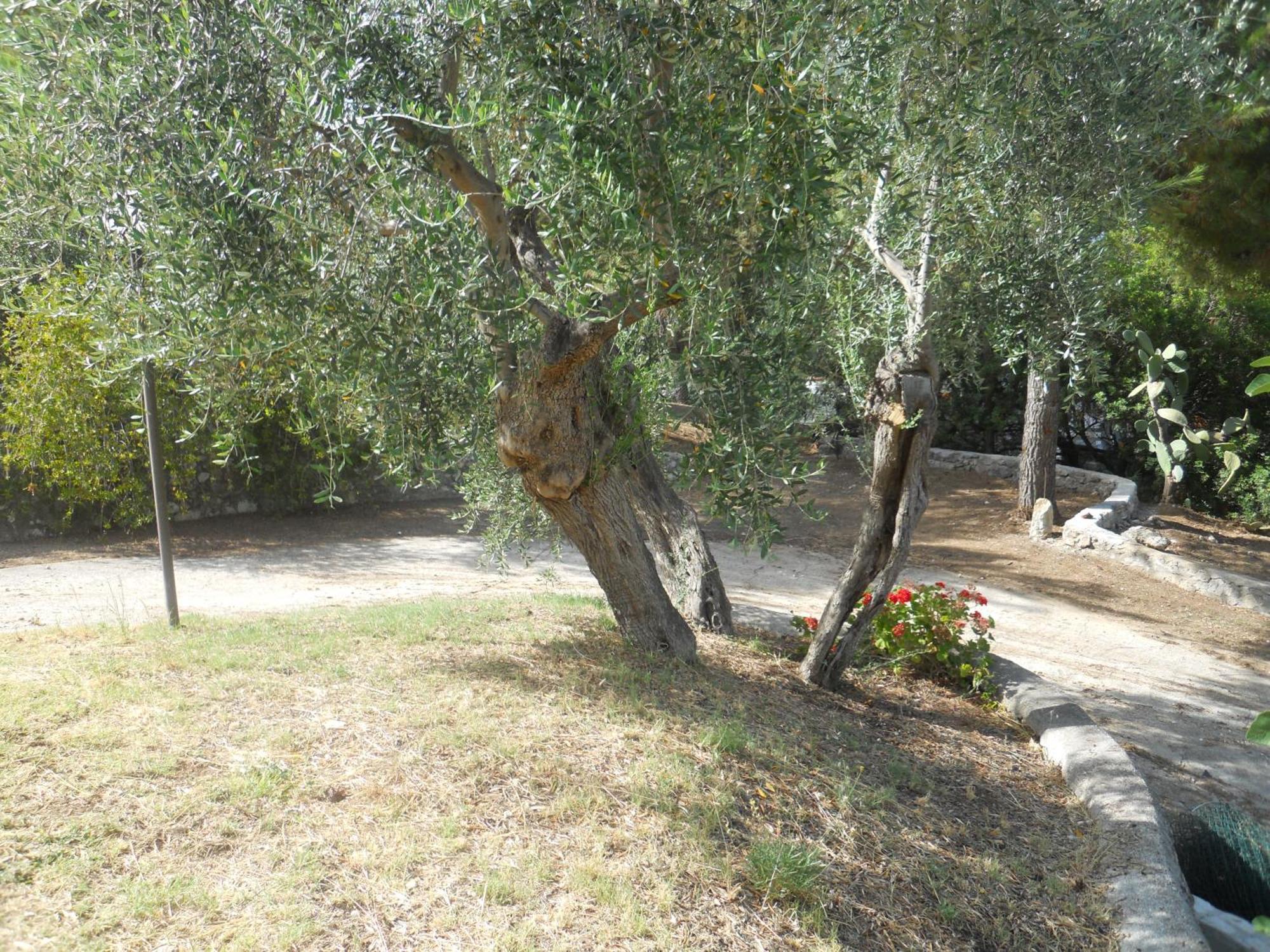 Residence Dolce Far Niente Vieste Dış mekan fotoğraf