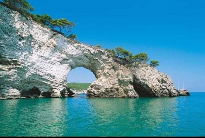 Residence Dolce Far Niente Vieste Dış mekan fotoğraf