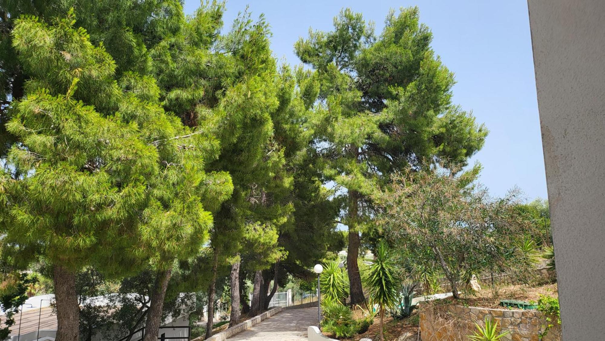 Residence Dolce Far Niente Vieste Dış mekan fotoğraf