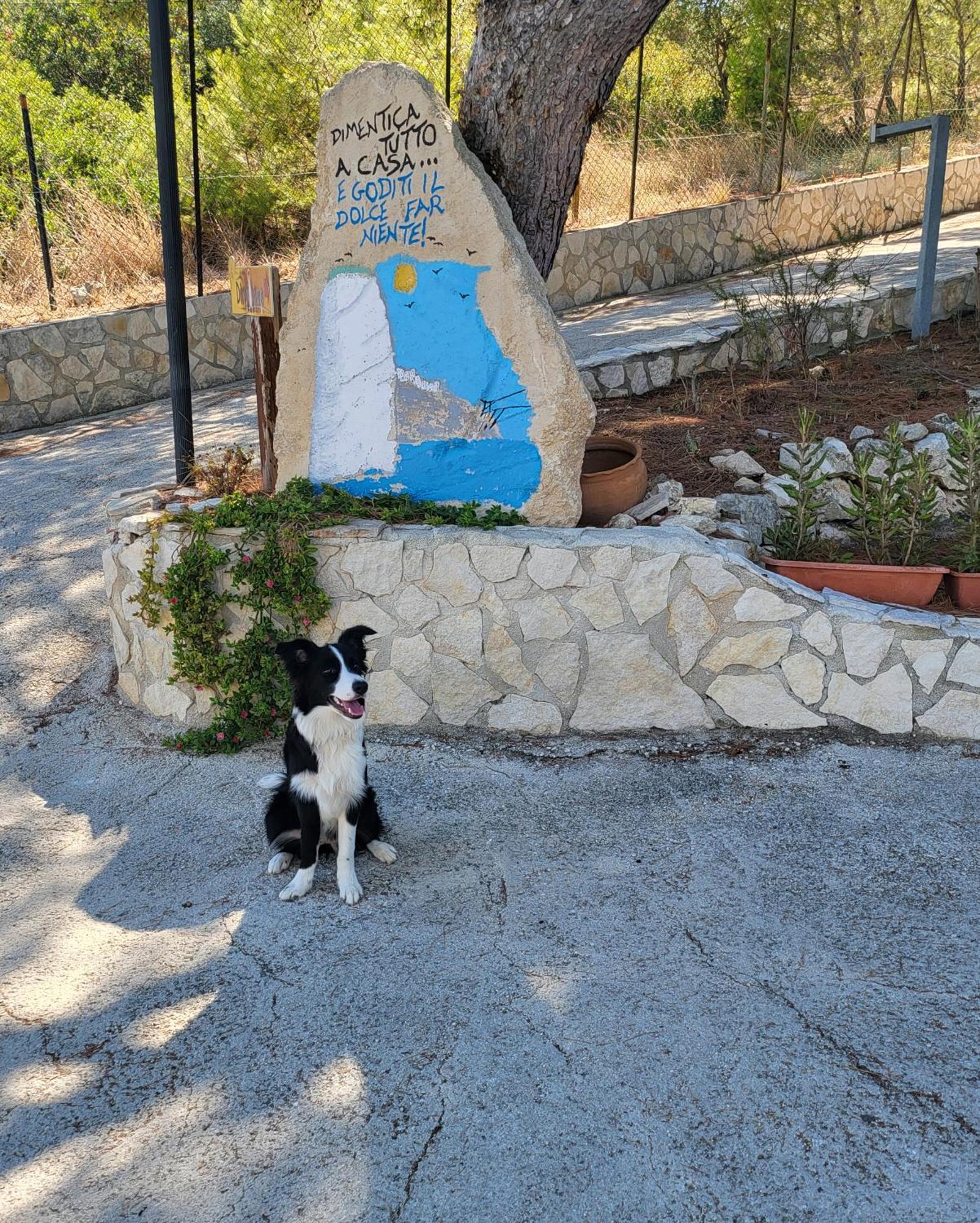 Residence Dolce Far Niente Vieste Dış mekan fotoğraf