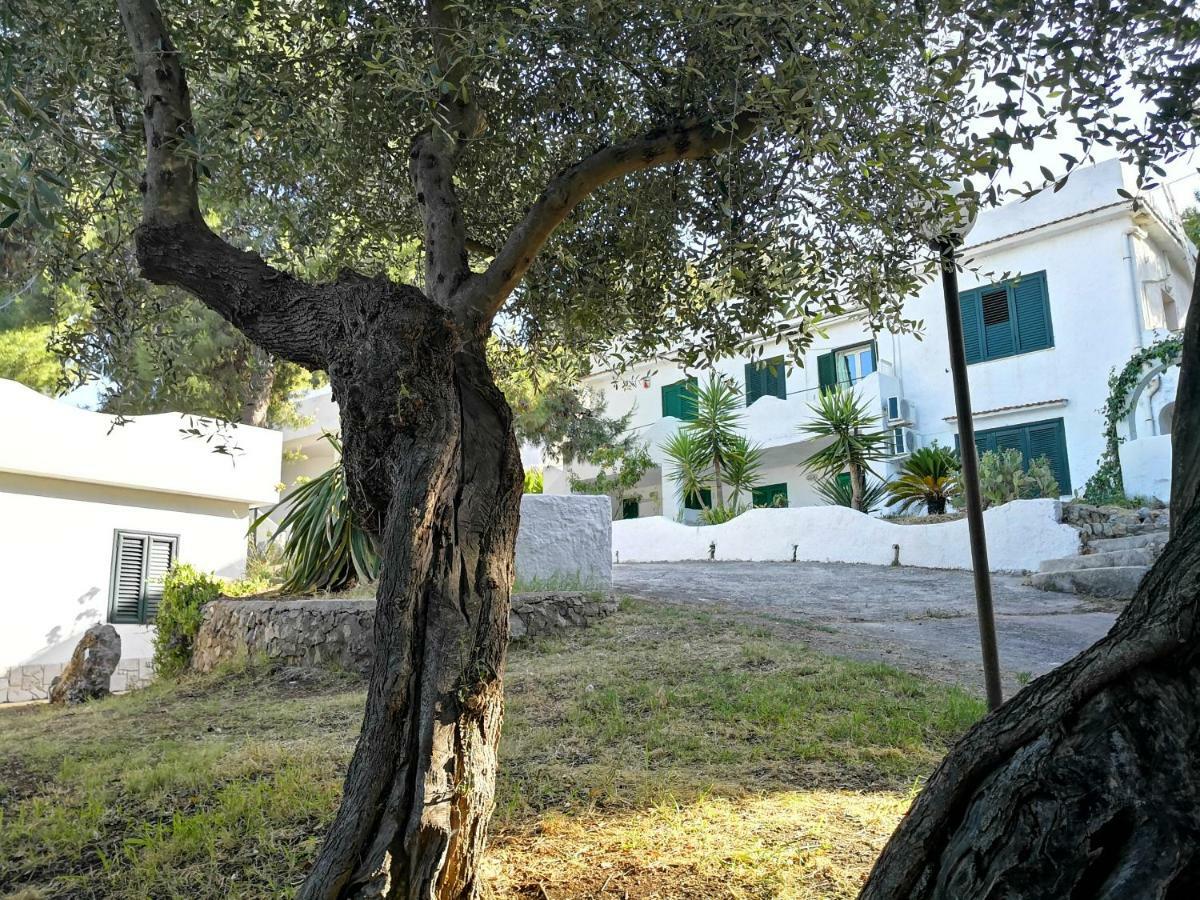 Residence Dolce Far Niente Vieste Dış mekan fotoğraf